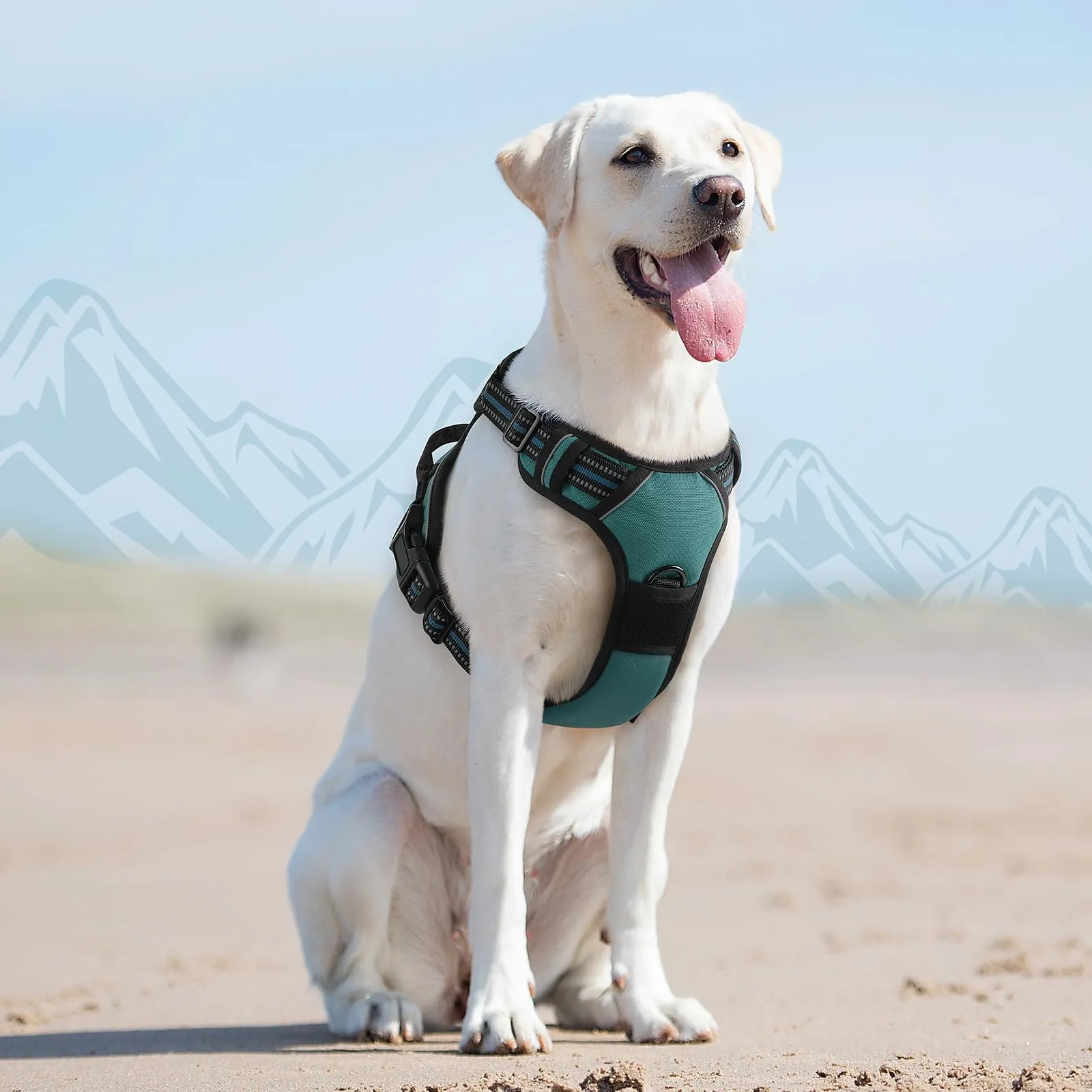 Eagloo Pettorina Cane ad H, Verde Scuro, Taglia L - immagine 9