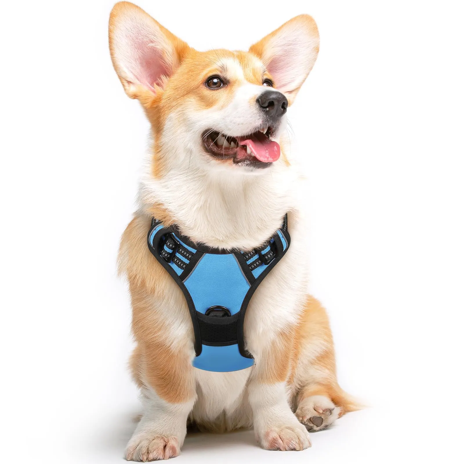 Eagloo Pettorina Cane Anti Tiro, Taglia M, Azzurro - immagine 1