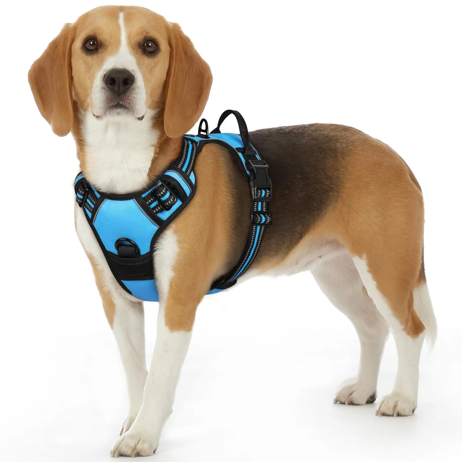 Eagloo Pettorina Cane ad H Anti Tiro, Azzurro, Taglia S - immagine 1