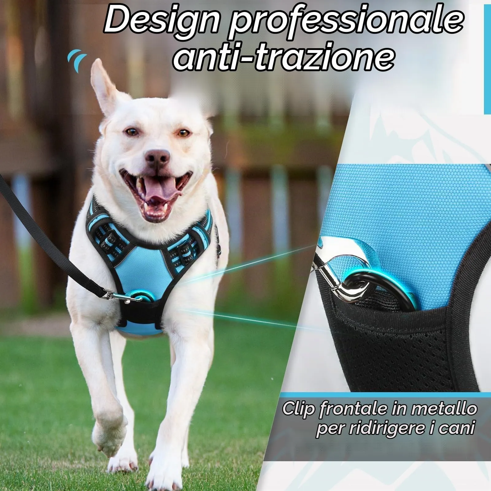 Eagloo Pettorina Cane ad H Anti Tiro, Azzurro, Taglia S - immagine 3