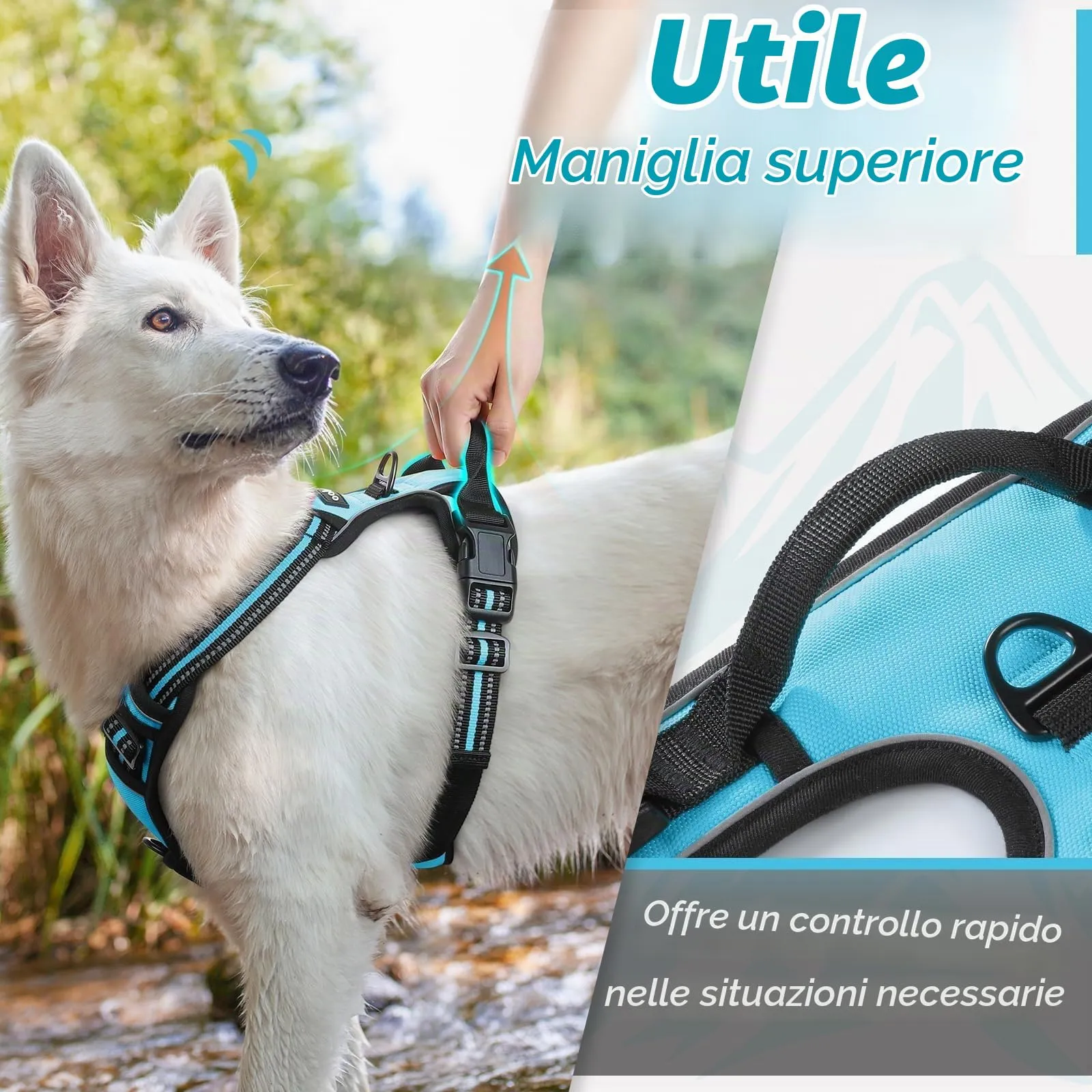 Eagloo Pettorina Cane ad H Anti Tiro, Azzurro, Taglia S - immagine 5