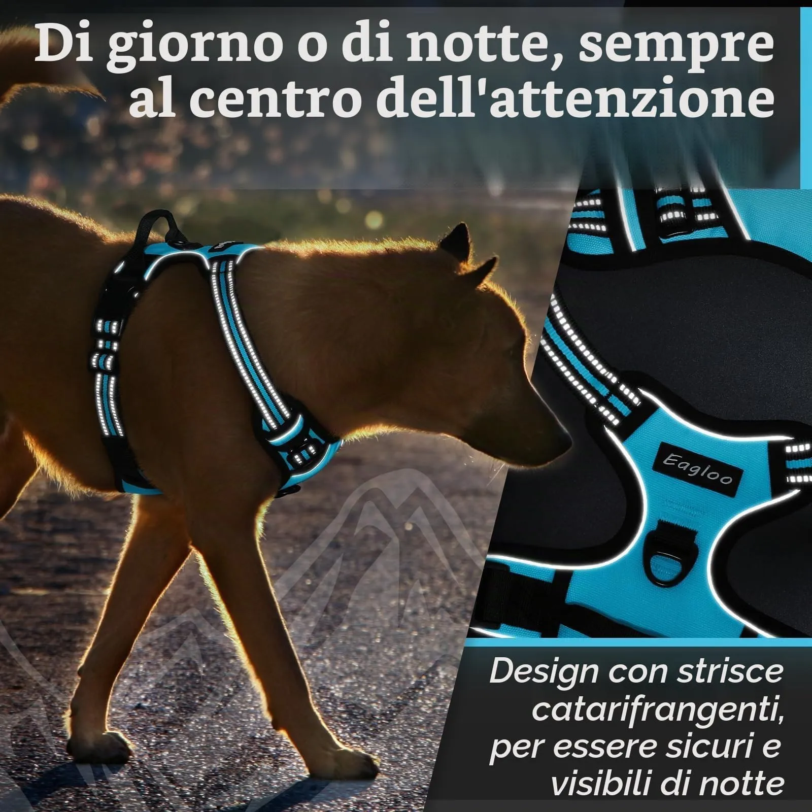Eagloo Pettorina Cane ad H Anti Tiro, Azzurro, Taglia S - immagine 8