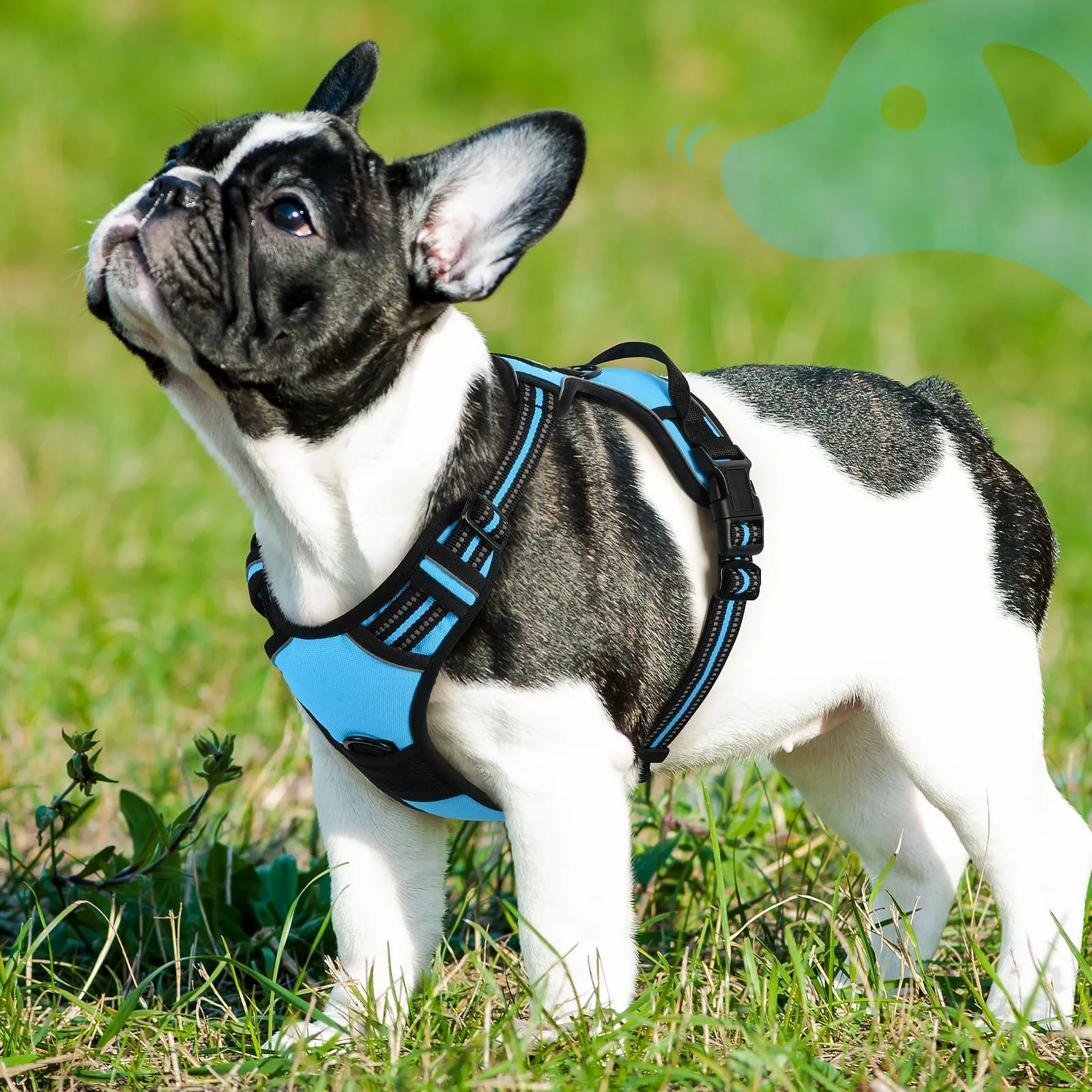 Eagloo Pettorina Cane ad H Anti Tiro, Azzurro, Taglia S - immagine 9