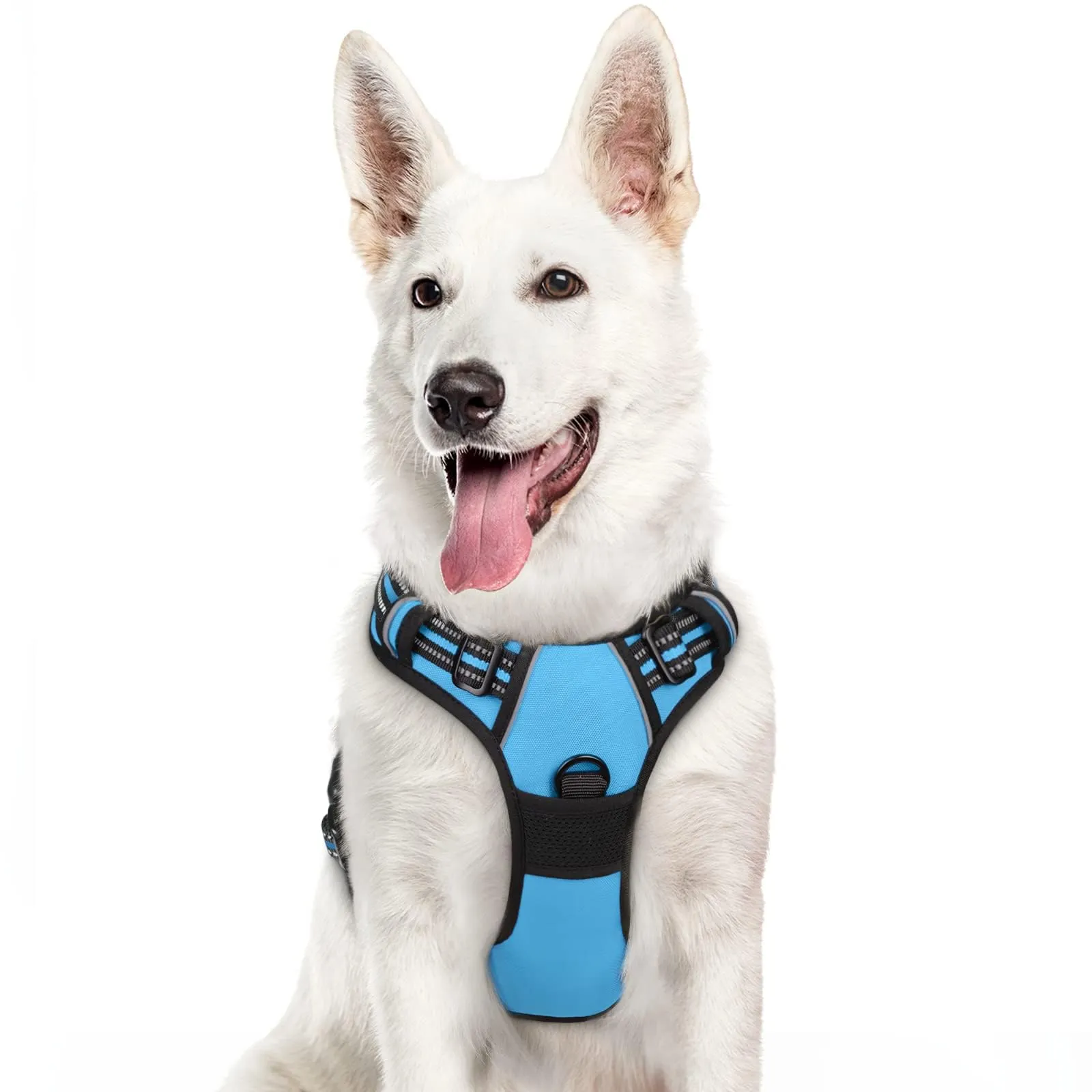 Eagloo Pettorina Cane Anti Tiro, Azzurro, XL - immagine 1