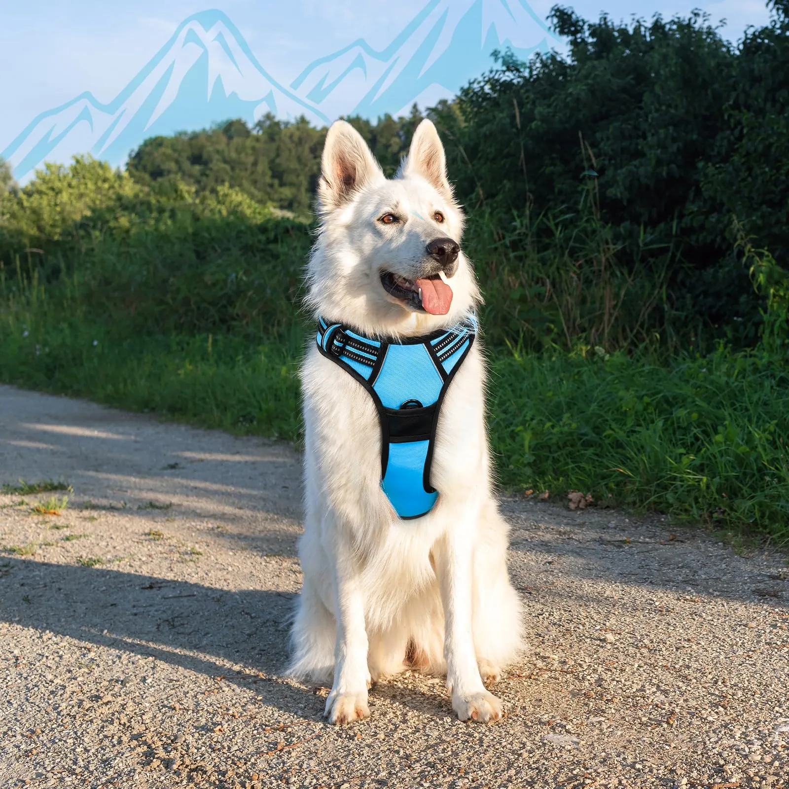 Eagloo Pettorina Cane Anti Tiro, Azzurro, XL - immagine 9