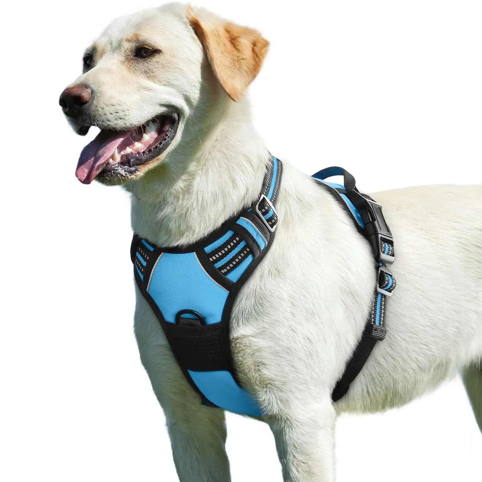 Eagloo Pettorina Cane ad H Anti Tiro, Azzurro, Taglia L - immagine 1
