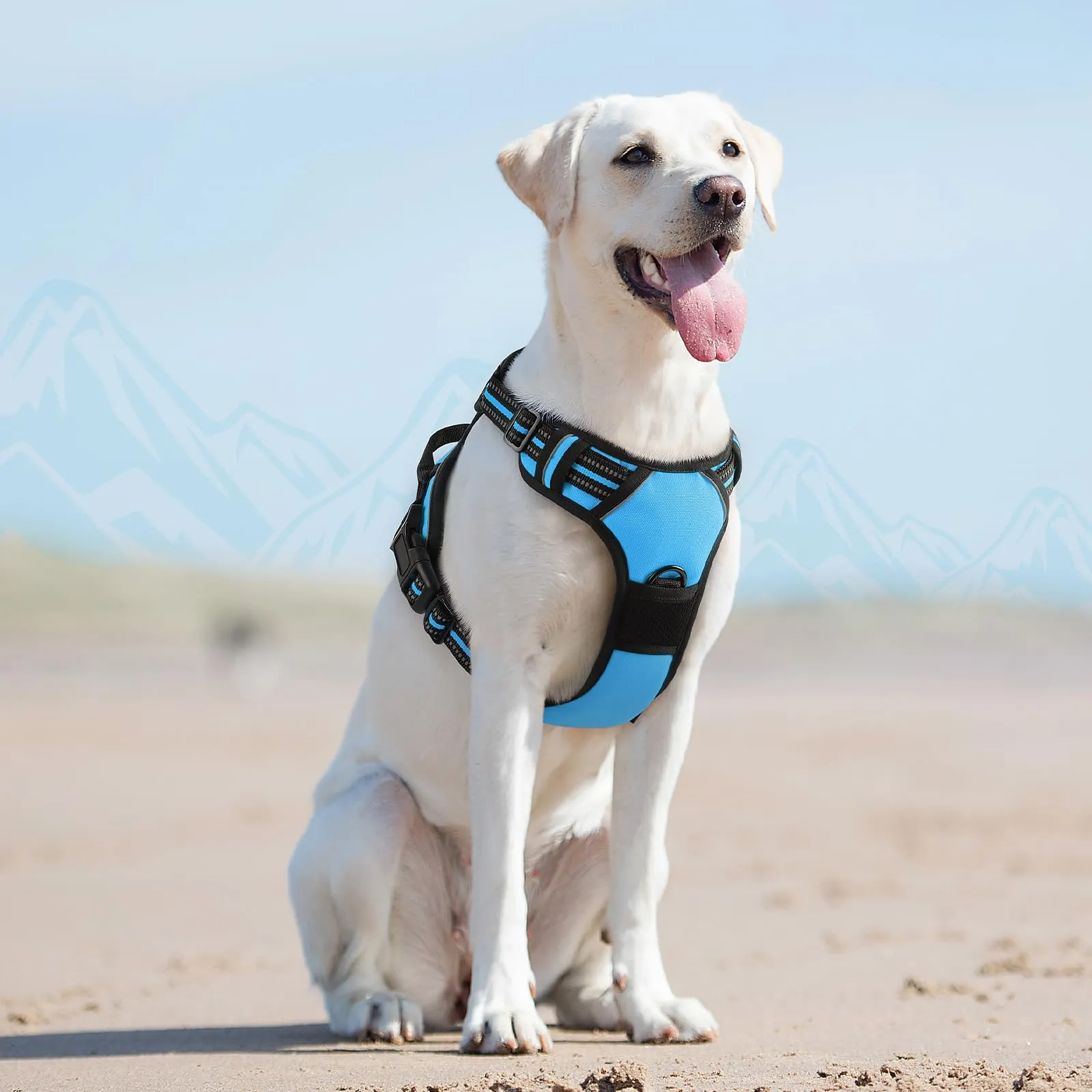 Eagloo Pettorina Cane ad H Anti Tiro, Azzurro, Taglia L - immagine 9