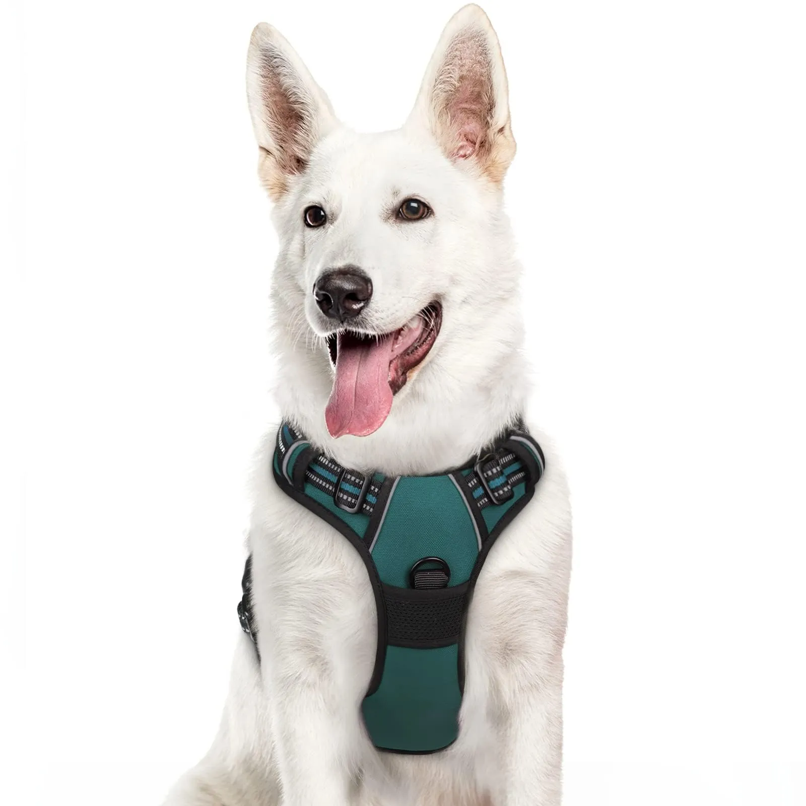 Eagloo Pettorina Cane ad H, Verde Scuro, Taglia XL - immagine 1