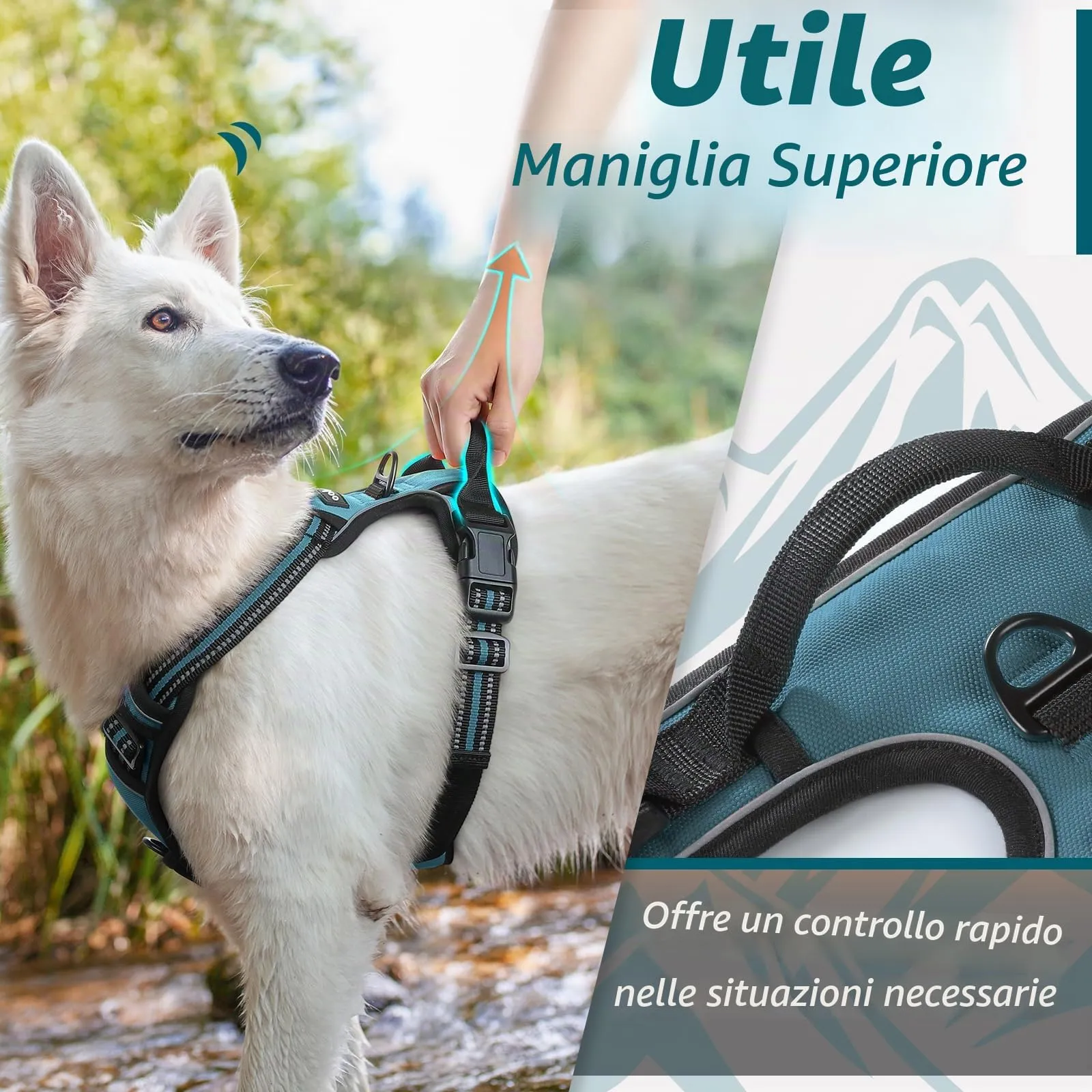 Eagloo Pettorina Cane ad H, Verde Scuro, Taglia XL - immagine 5