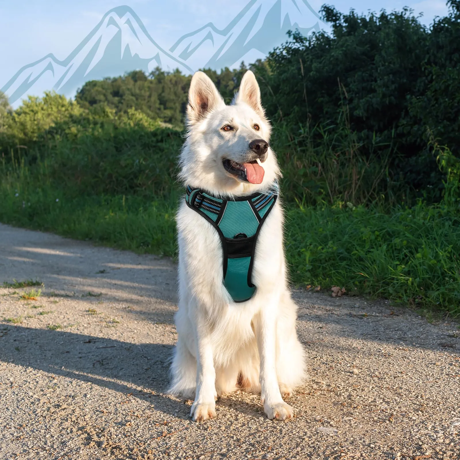Eagloo Pettorina Cane ad H, Verde Scuro, Taglia XL - immagine 9