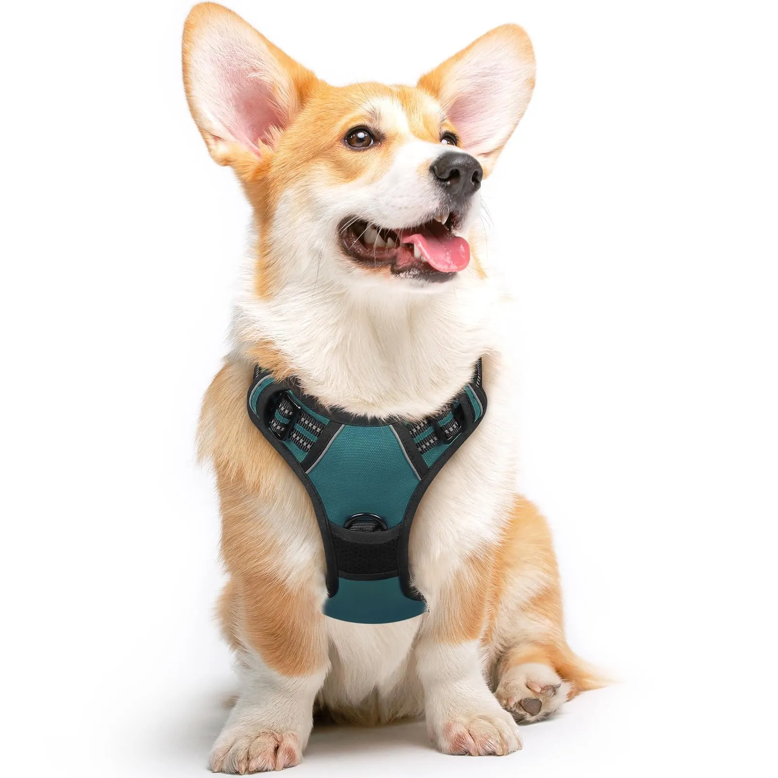 Eagloo Pettorina Cane ad H, Verde Scuro, Taglia M - immagine 1