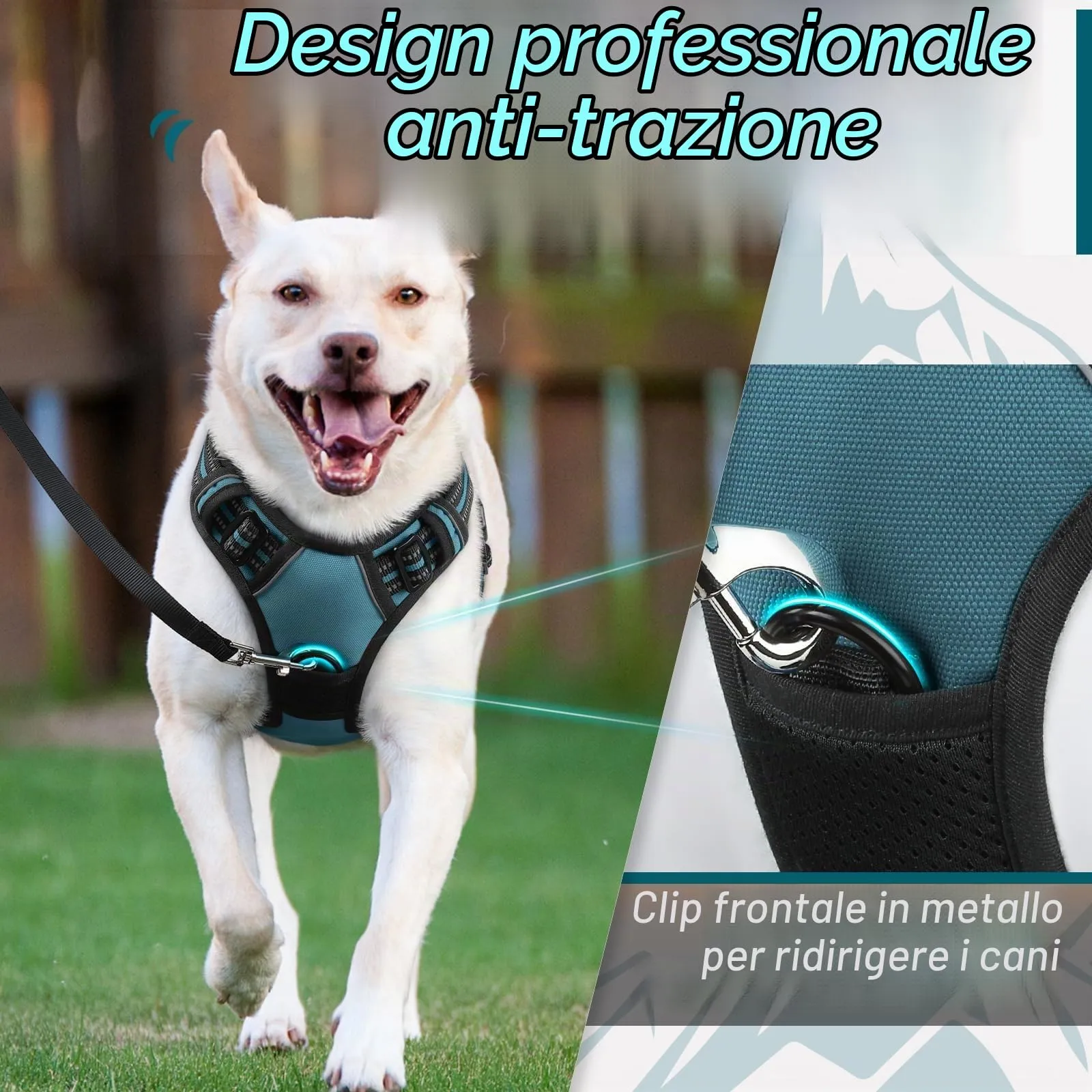 Eagloo Pettorina Cane ad H, Verde Scuro, Taglia M - immagine 3