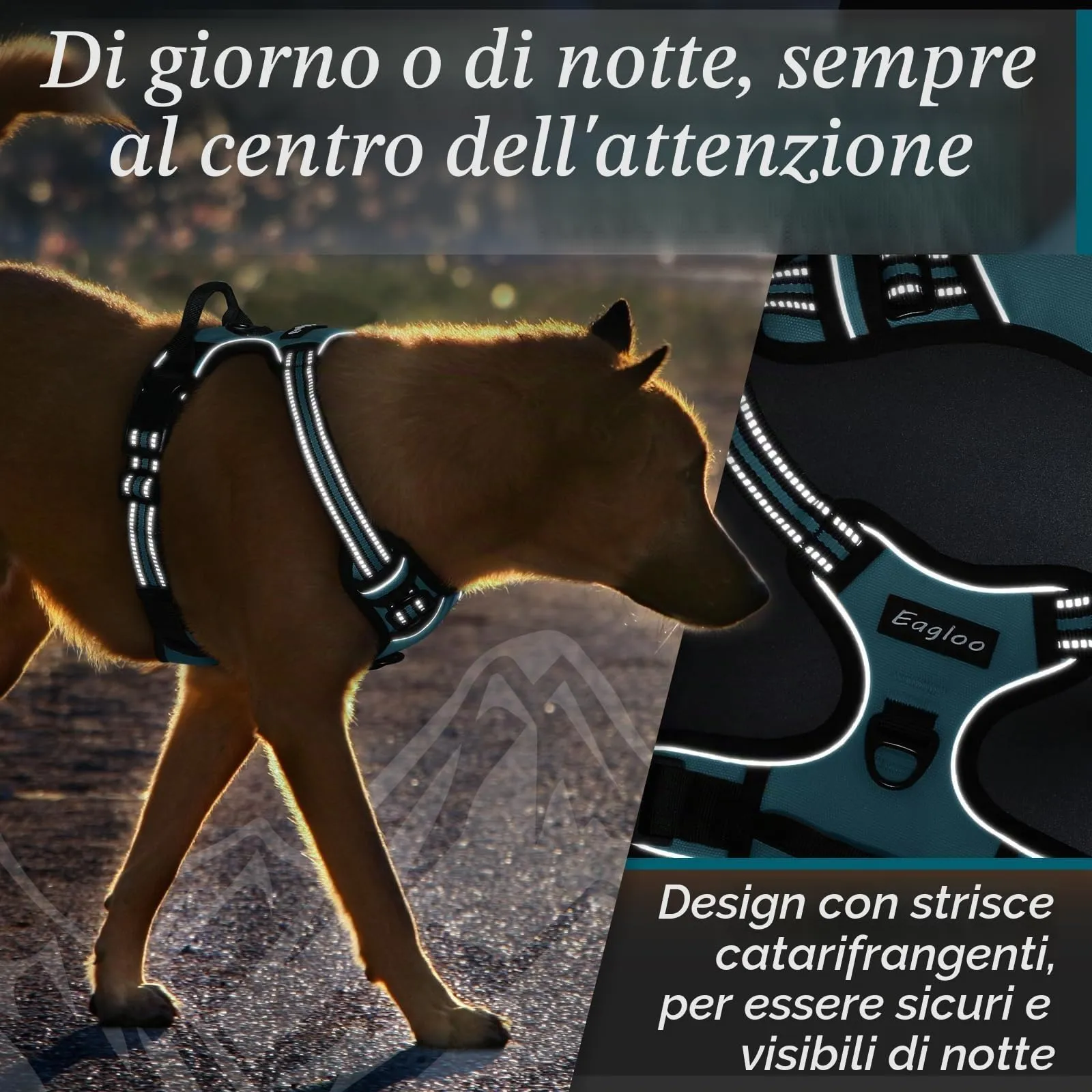 Eagloo Pettorina Cane ad H, Verde Scuro, Taglia M - immagine 8