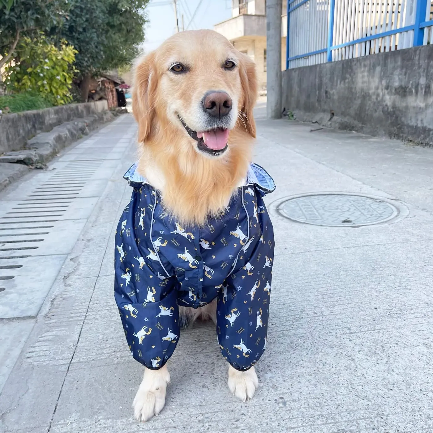Idepet Impermeabile per cani con cappuccio e foro per collo, poncho riflettente e antivento, Blu, M - immagine 5