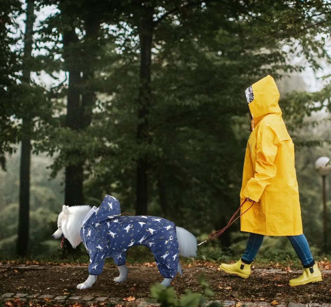 Idepet Impermeabile per Cani con Cappuccio, Poncho per Pioggia Riflettente e Antivento, Blu, 4XL - immagine 4