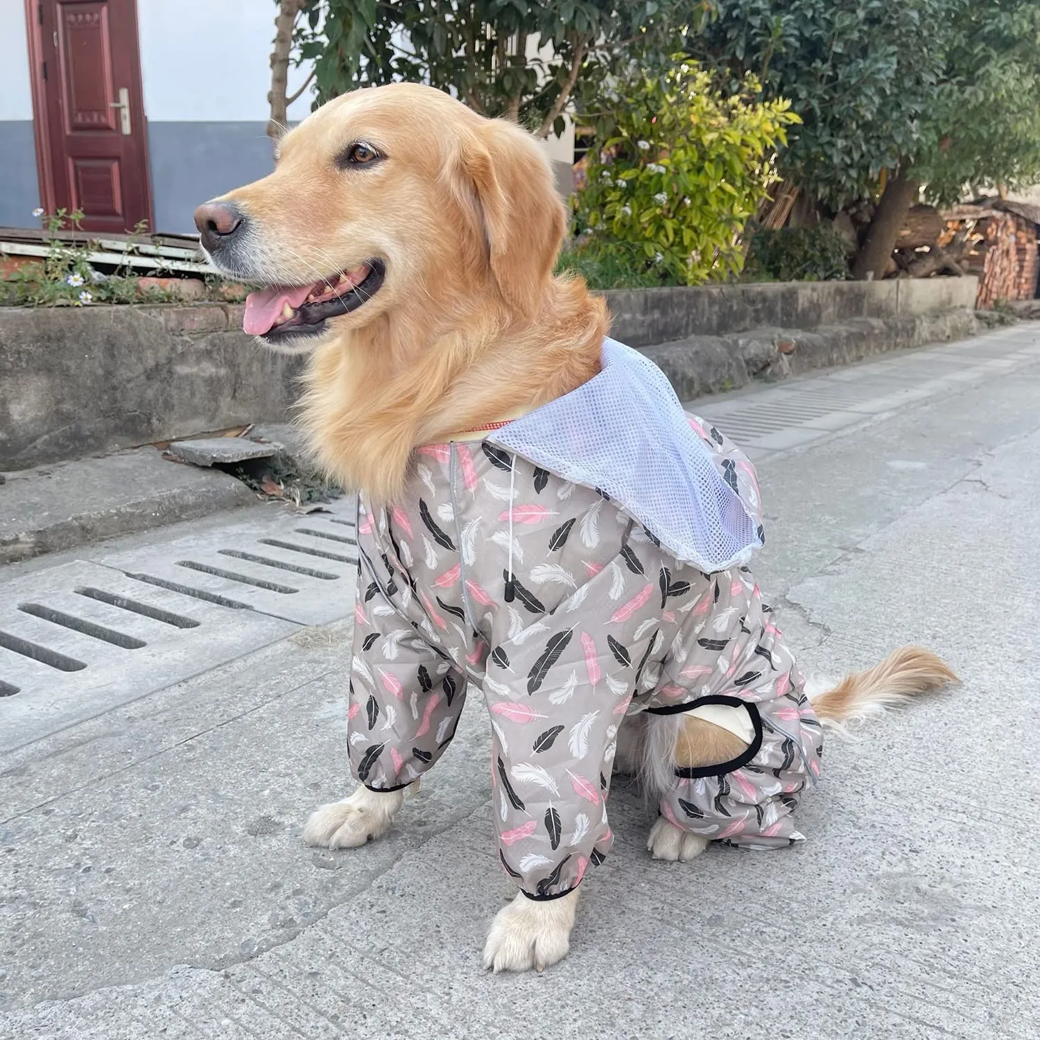 Idepet Impermeabile per Cani con Cappuccio e Foro per Collo, Poncho per Pioggia Riflettente e Antivento - immagine 4