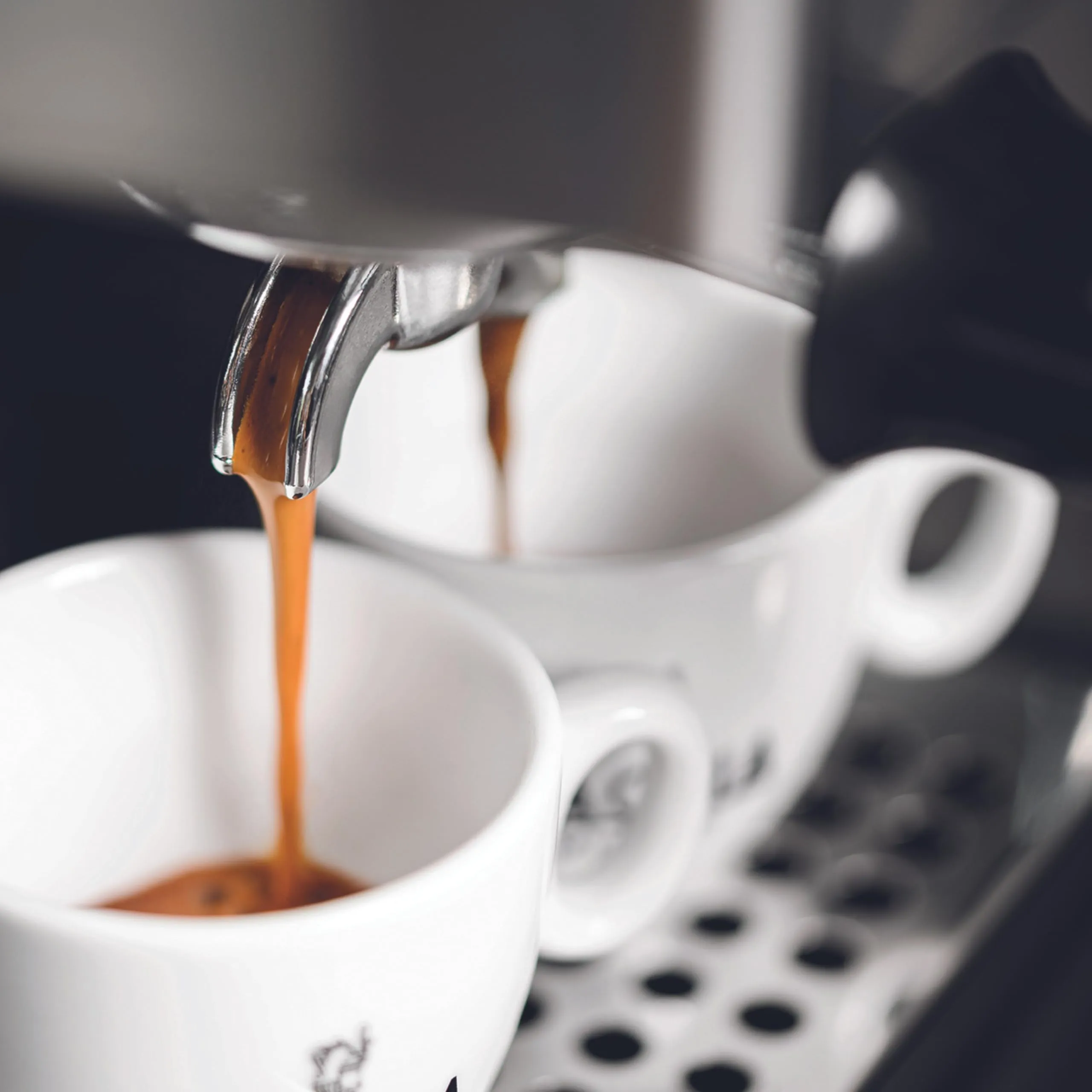 Gaggia Classic Evo Macchina Espresso Manuale Inox - immagine 8