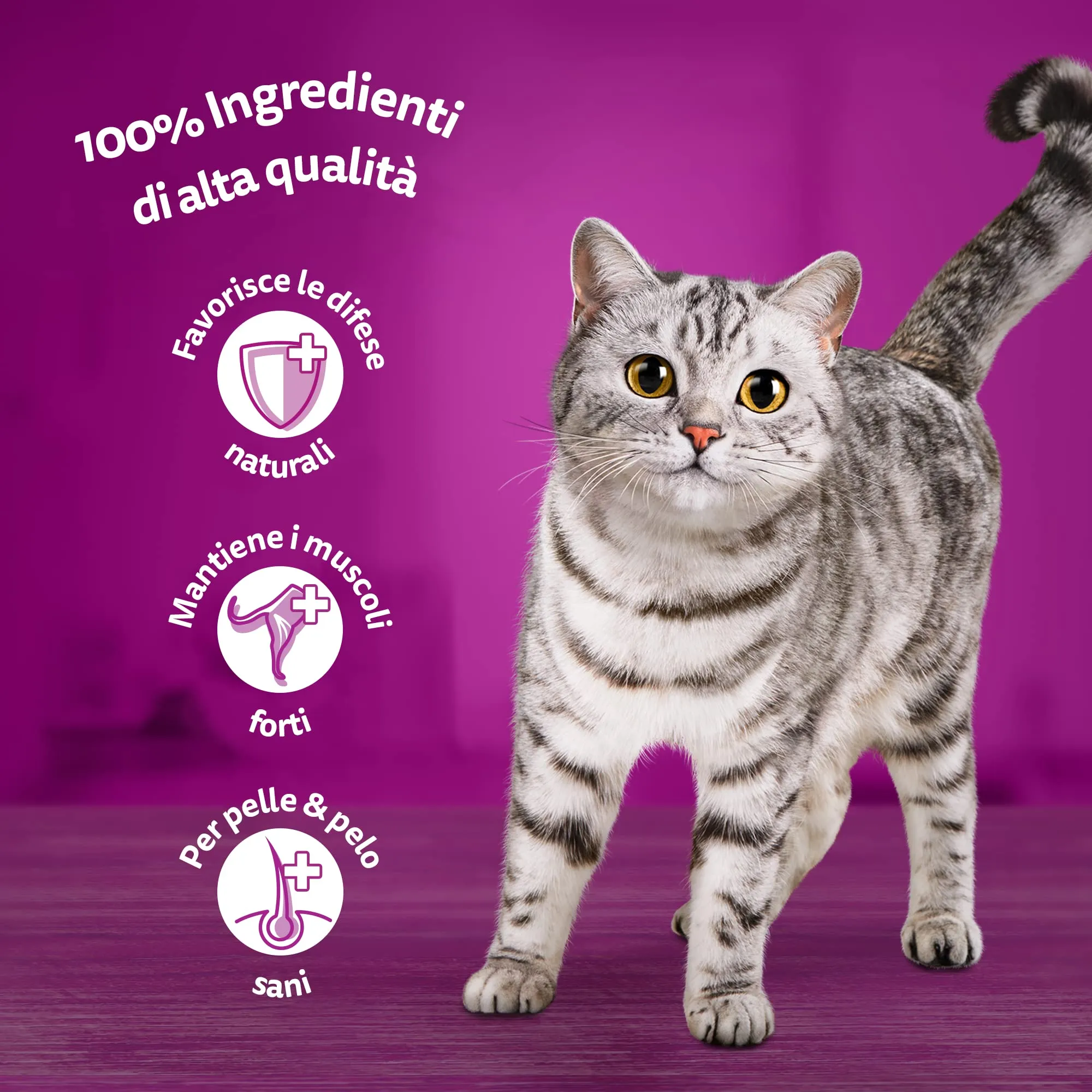 Whiskas Pranzetti Mari e Monti 1+ Adulto, Cibo Umido per Gatto, 6 x 50g - immagine 3