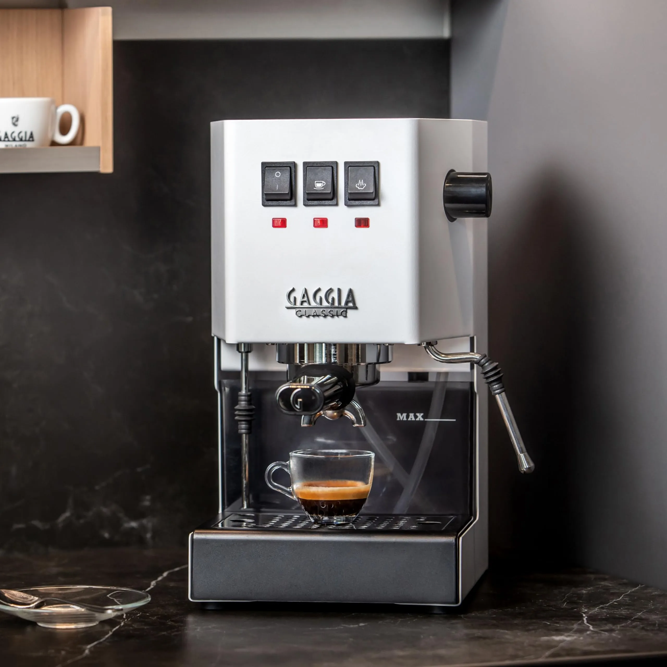 Gaggia Classic Evo RI9481/13 Bianco - immagine 4