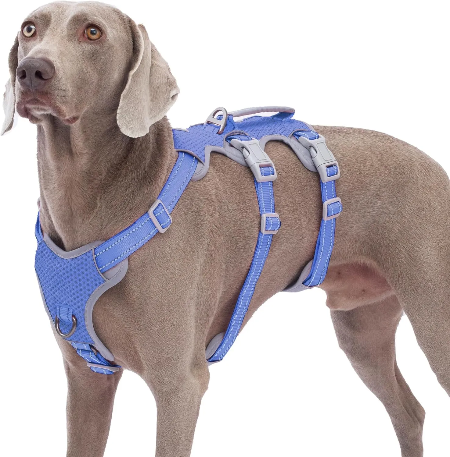 Huntboo Pettorina per cani a prova di fuga riflettente con maniglia imbottita e gilet regolabile, taglia Grande - immagine 1