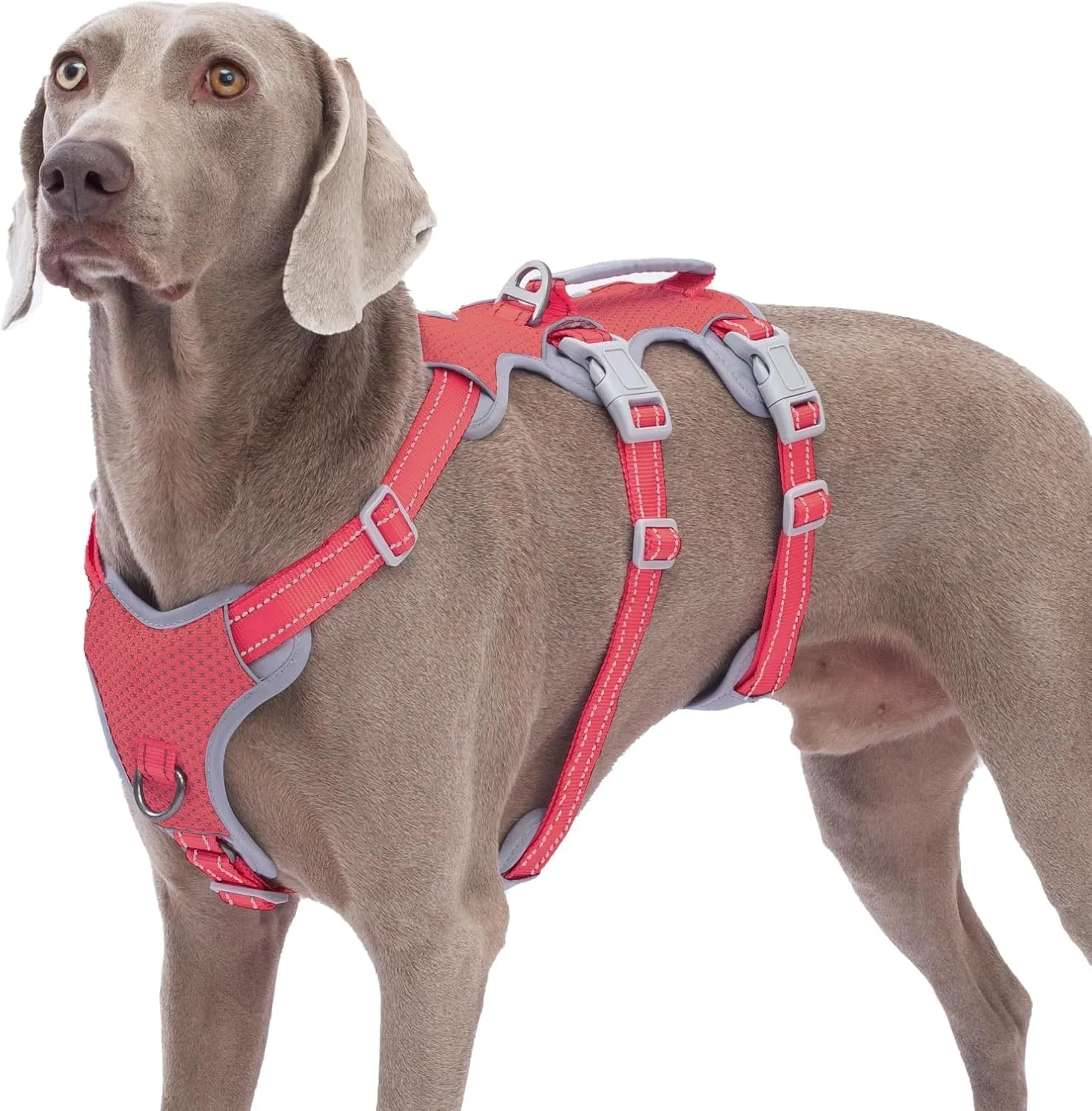 Huntboo Pettorina per Cani a Prova di Fuga, Riflettente, Anti-tiro, con Maniglia e Clip per Guinzaglio Anteriore e Posteriore, Taglia X-Large, Rosso - immagine 1