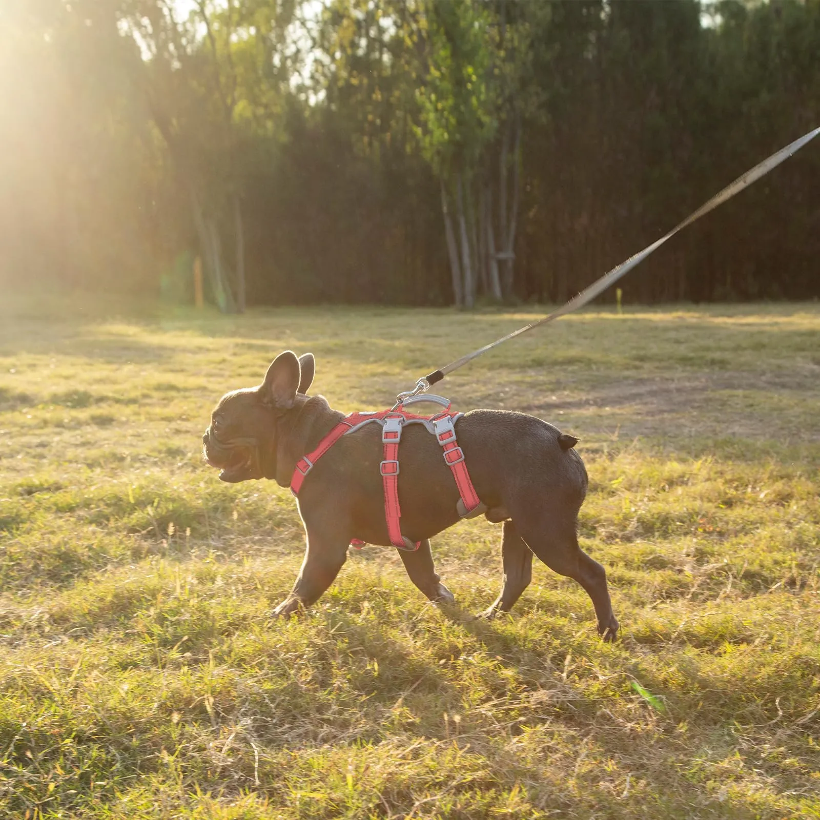 Huntboo Pettorina per Cani a Prova di Fuga, Riflettente, Anti-tiro, con Maniglia e Clip per Guinzaglio Anteriore e Posteriore, Taglia X-Large, Rosso - immagine 7