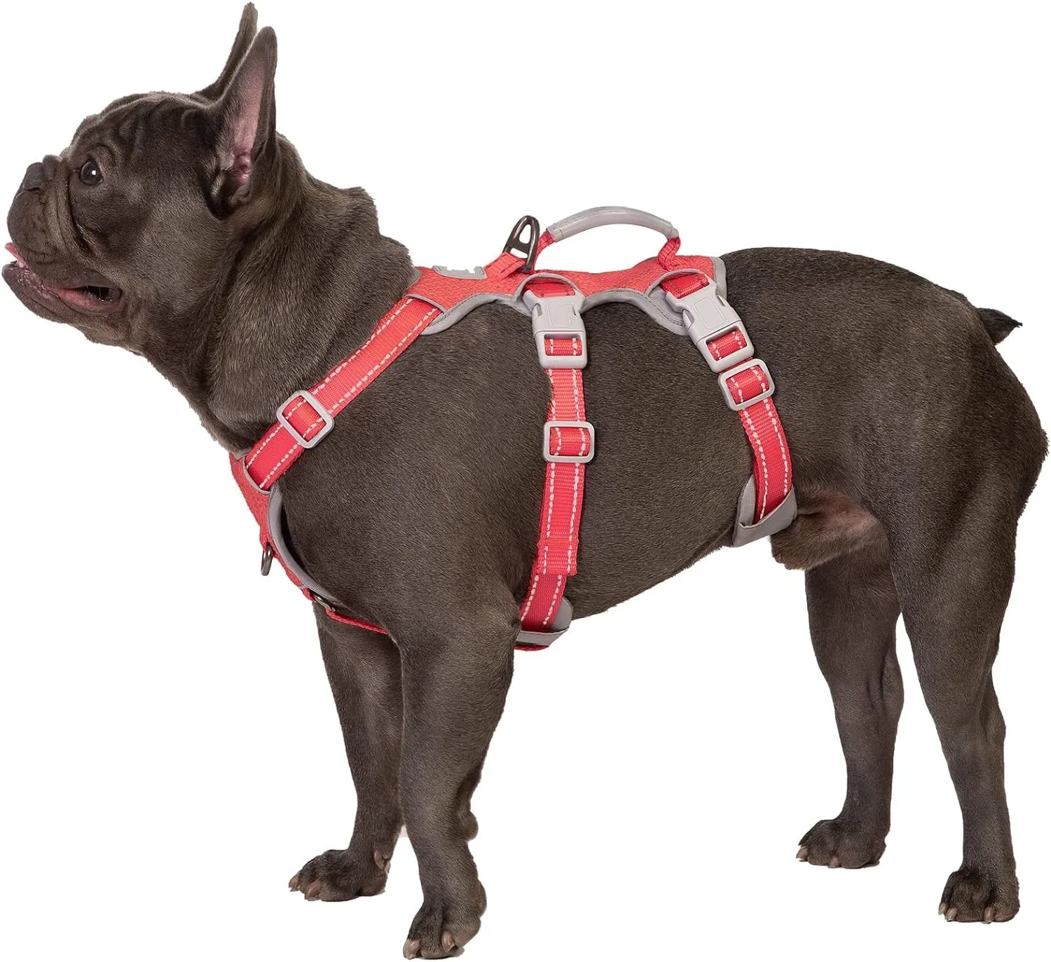 Huntboo Harnais pour chien No Escape, Pettorina Riflettente con Impugnatura Imbottita, Traspirante e Regolabile, Taglia Media - immagine 1