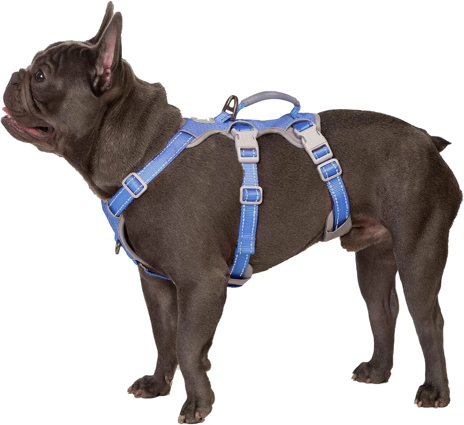 Huntboo Pettorina per Cani No Escape, Regolabile per Cani di Piccola Taglia - immagine 1