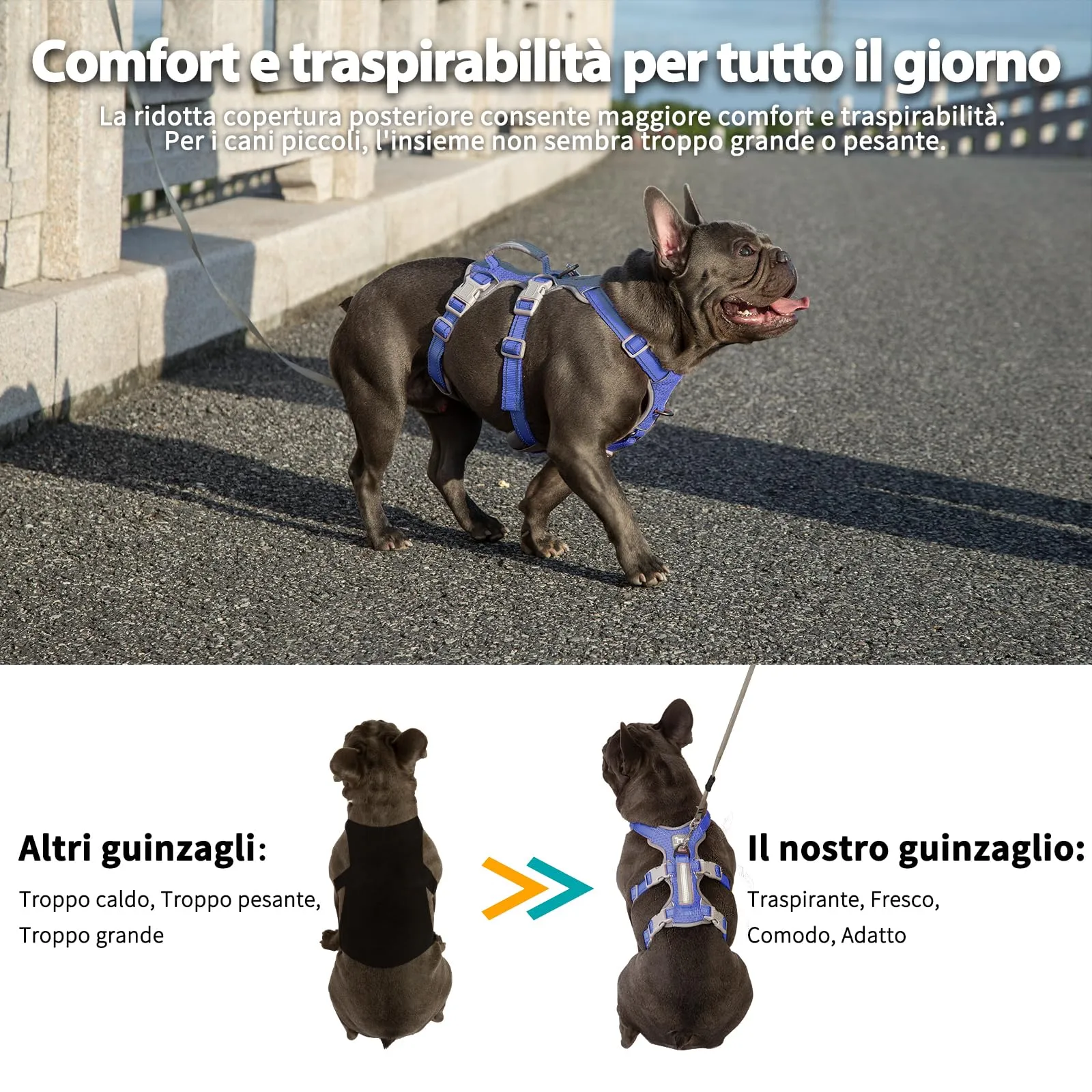 Huntboo Pettorina per Cani No Escape, Regolabile per Cani di Piccola Taglia - immagine 6
