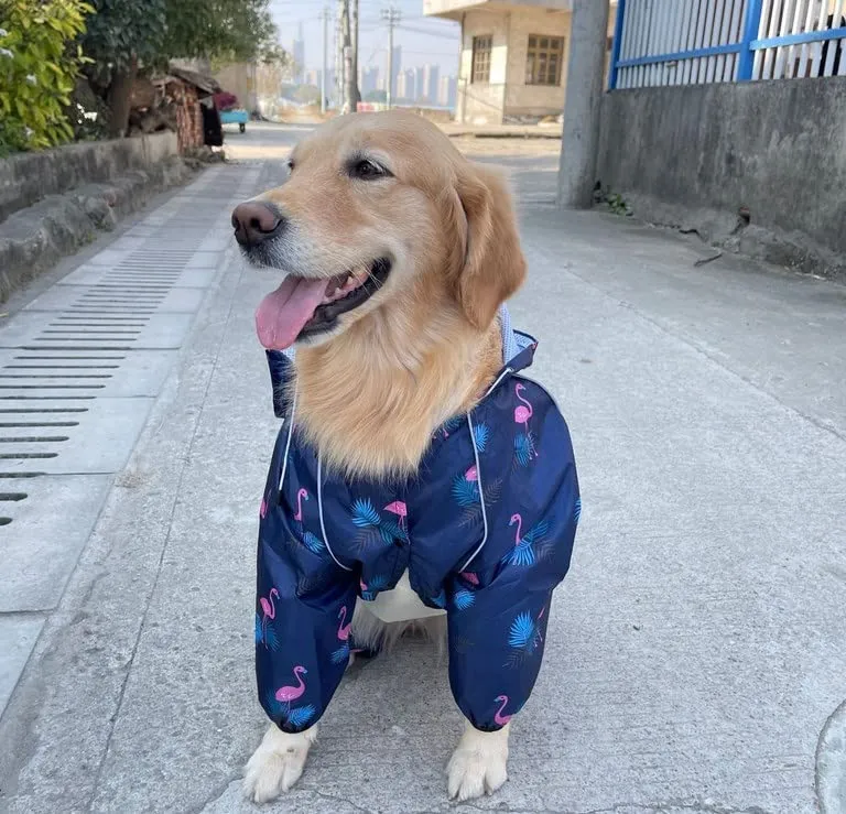 Idepet Poncho Impermeabile per Cani con Cappuccio e Riflettenti, Blu Scuro, S - immagine 3