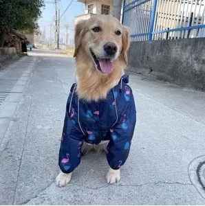 Idepet Impermeabile per Cani con Cappuccio e Foro per Collo, Poncho per Pioggia Riflettente e Antivento, Blu Scuro, 3XL - immagine 2