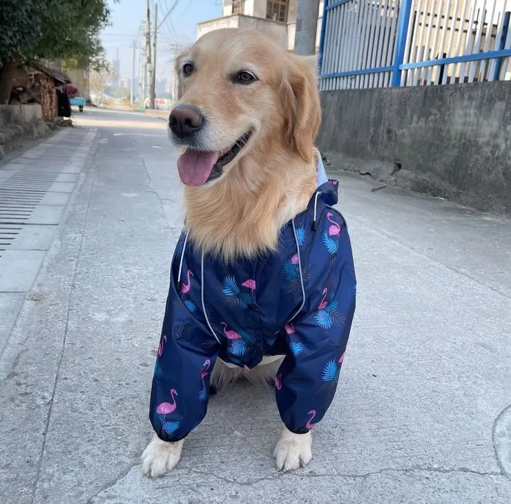 Idepet Poncho Impermeabile per Cani con Cappuccio e Riflettenti, Blu Scuro, Taglia M - immagine 4