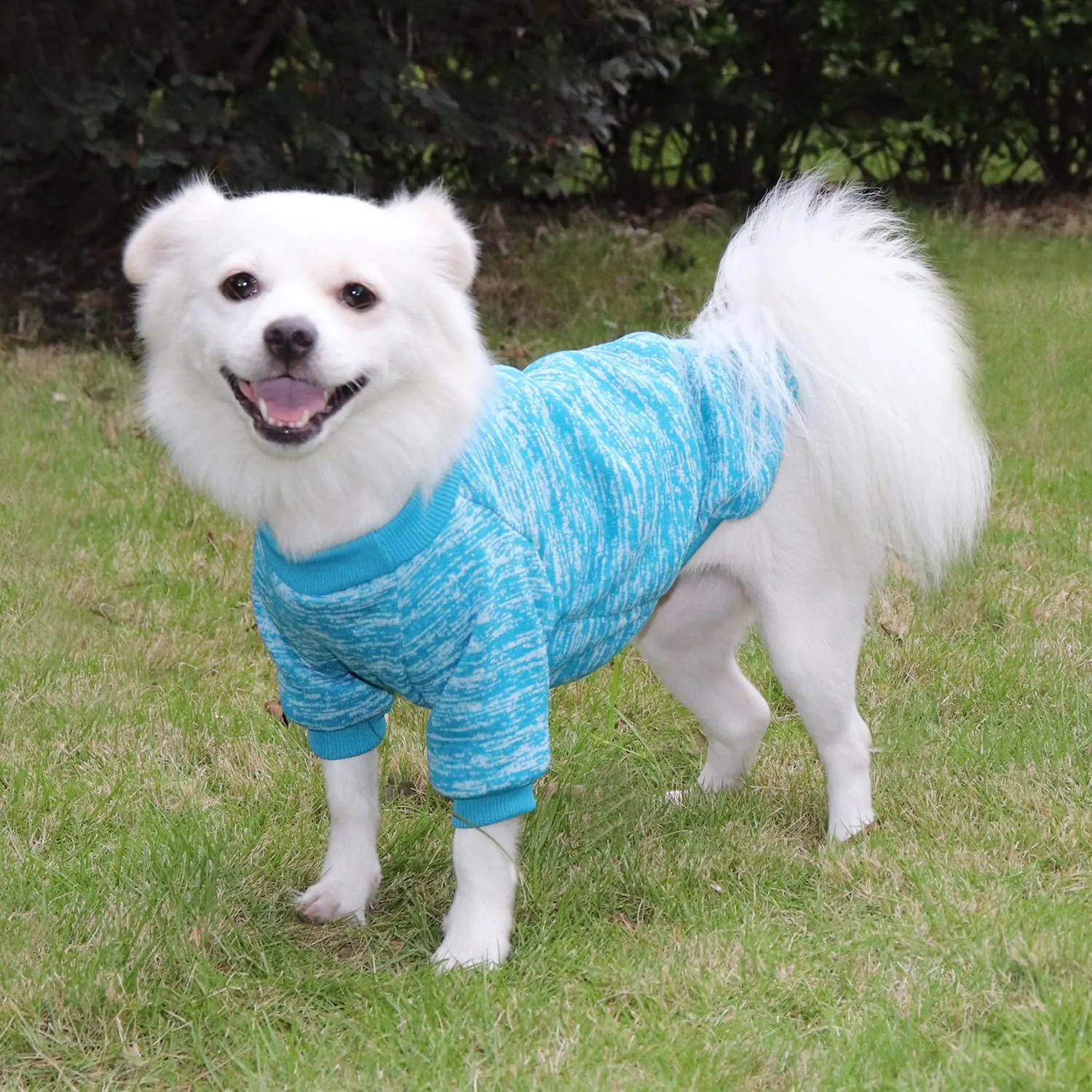 HuaLiSiJi Felpa per Cani, Blu, L - immagine 5