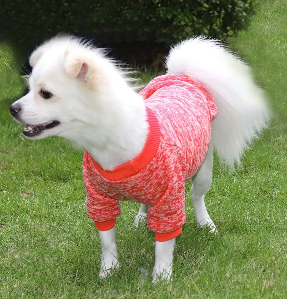HuaLiSiJi Maglione per Cane e Gatto in Cotone e Velluto, XS, Rosso - immagine 4