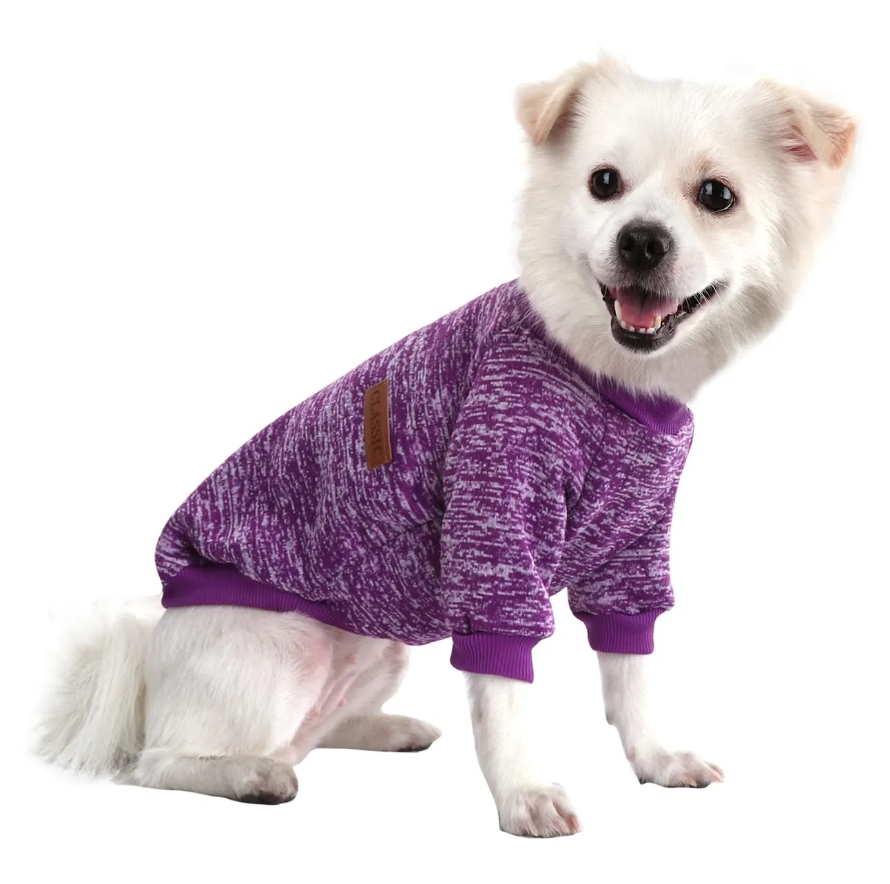 HuaLiSiJi Maglione per Cane Chihuahua Bulldog Francese e Bassotto, Viola, L - immagine 1