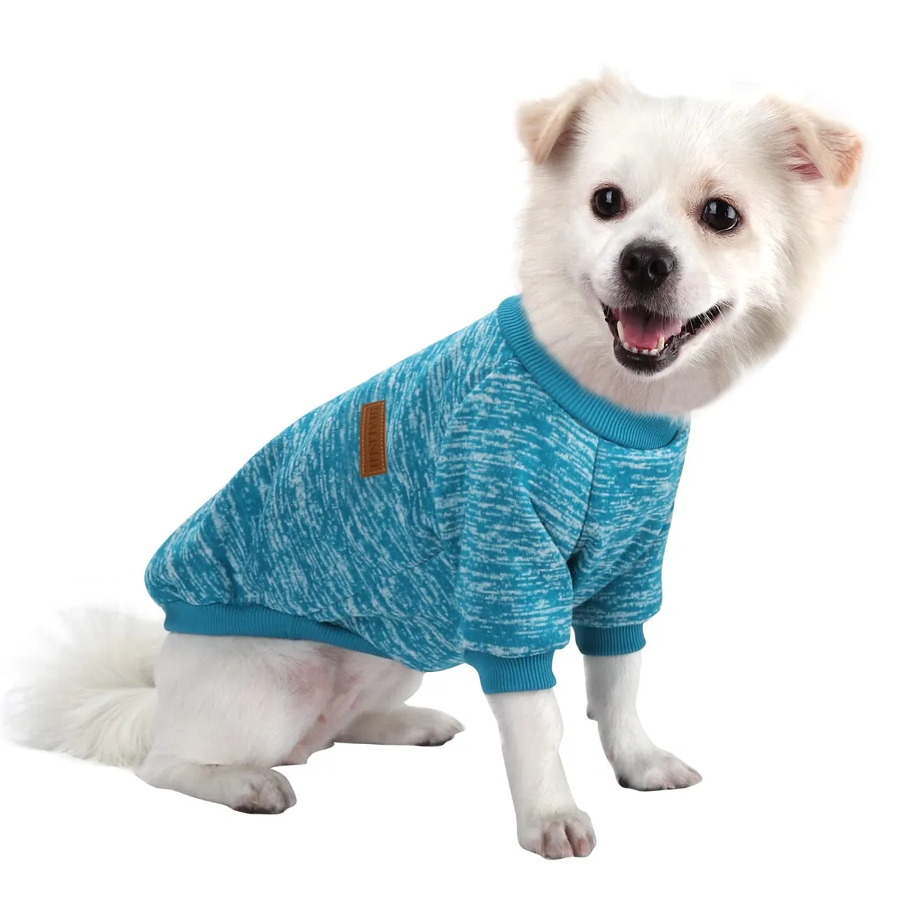 HuaLiSiJi Felpa con cappuccio per cani in cotone e velluto, Blu, M - immagine 1