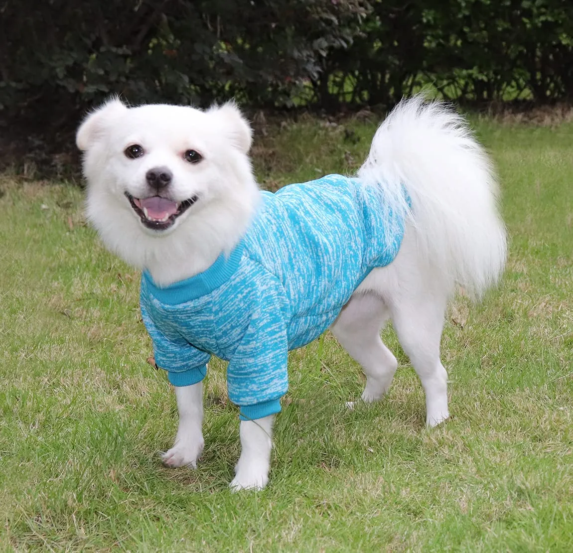 HuaLiSiJi Felpa per Cani Maglioncino (Blu+Grigio, XXL) - immagine 4