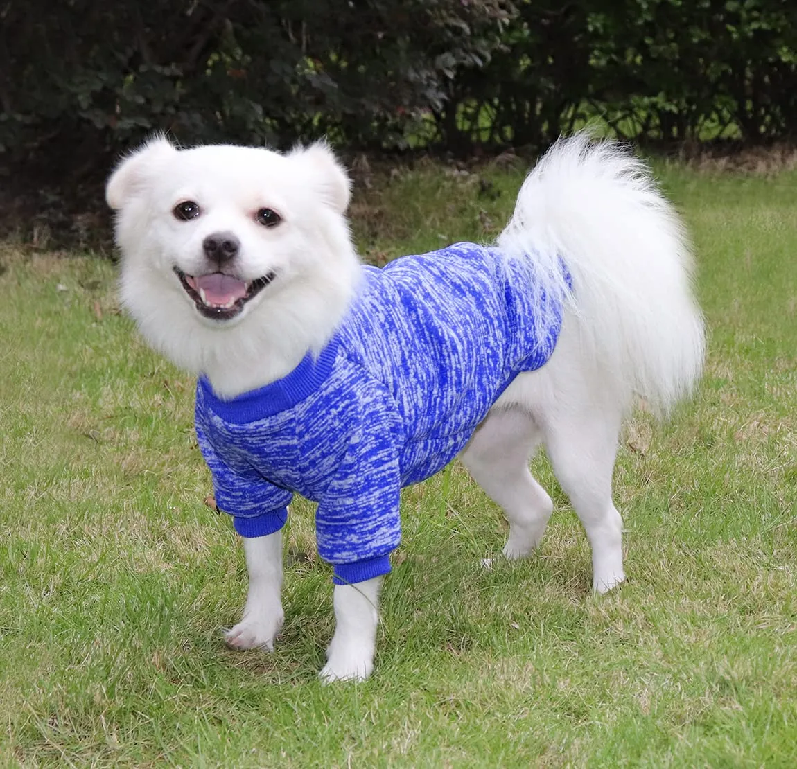 HuaLiSiJi Felpa per Cani, Blu Scuro, Taglia L - immagine 4