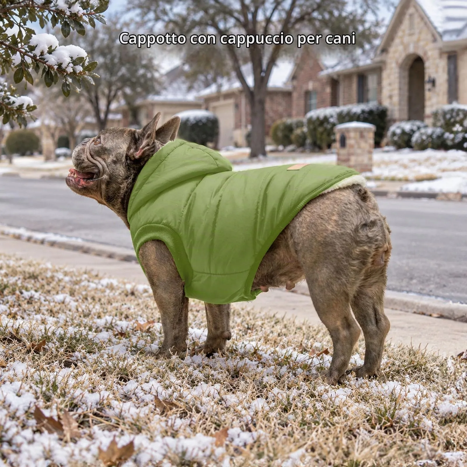 JoyDaog Cappottino Invernale per Cani con Cappuccio, Foderato in Pile, Verde L - immagine 3