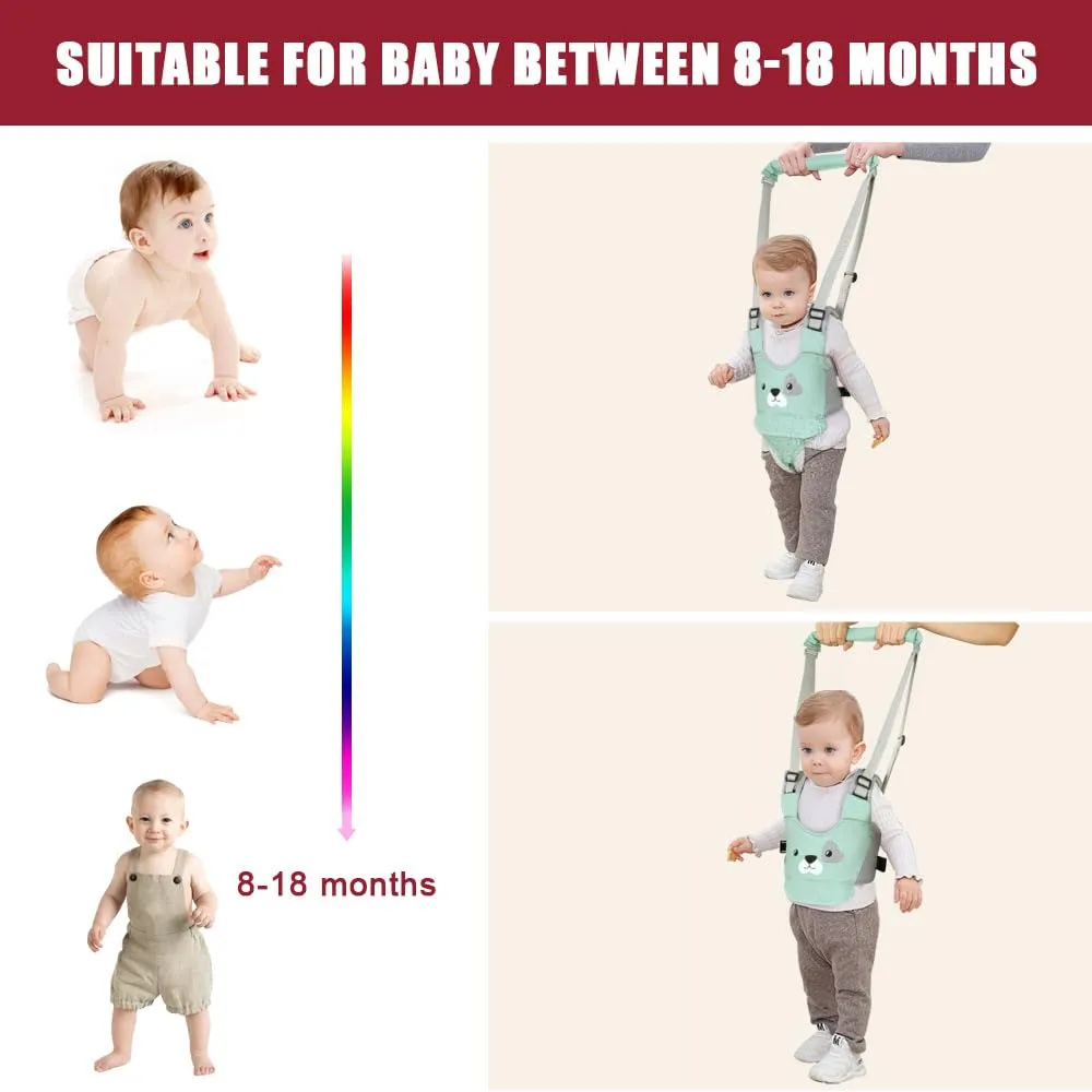 Vicloon Redini Primi Passi, Bretelle di Sicurezza e Assistente per Camminare per Bambino, Cintura Protettiva Sostegno Portatile (Verde) - immagine 7