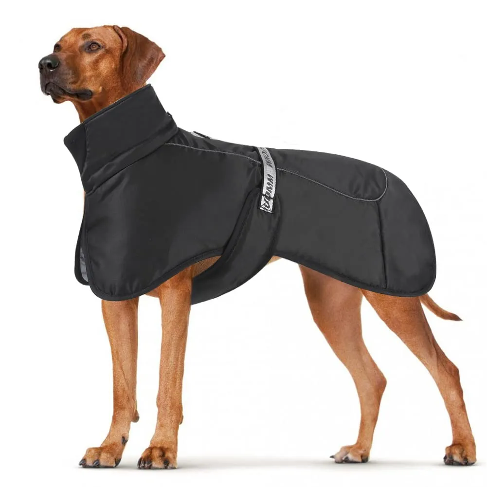 DoggieKit Giacca Impermeabile Antivento per Cani, Inverno, Nero, 2XL - immagine 1