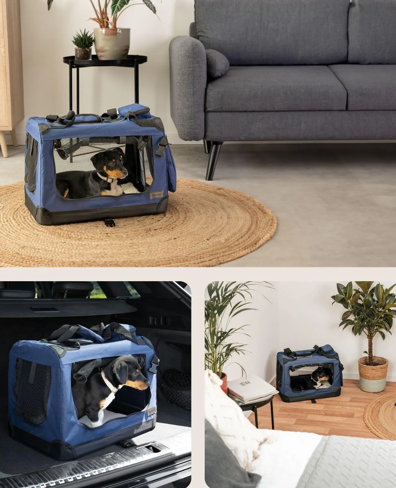 lionto Trasportino Cane Pieghevole per Viaggio e Auto, 50x34x36 cm, Blu - immagine 2