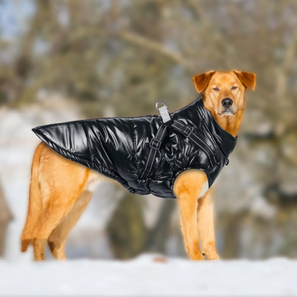 DoggieKit Cappotto Impermeabile e Riflettente per Cani e Gatti, In Cotone per Inverno, Taglia M, Nero - immagine 5