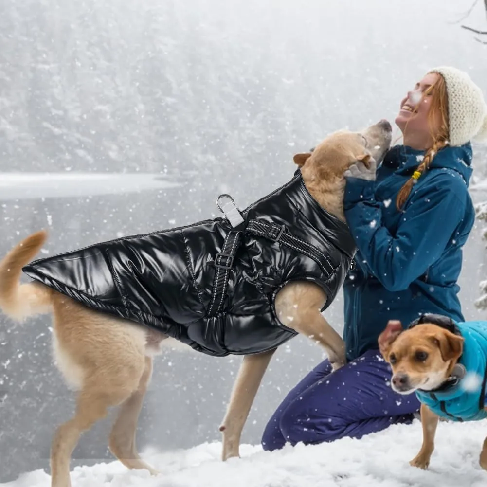 DoggieKit Cappotto Impermeabile e Riflettente per Cani e Gatti in Cotone per Inverno, Taglia L, Nero - immagine 6