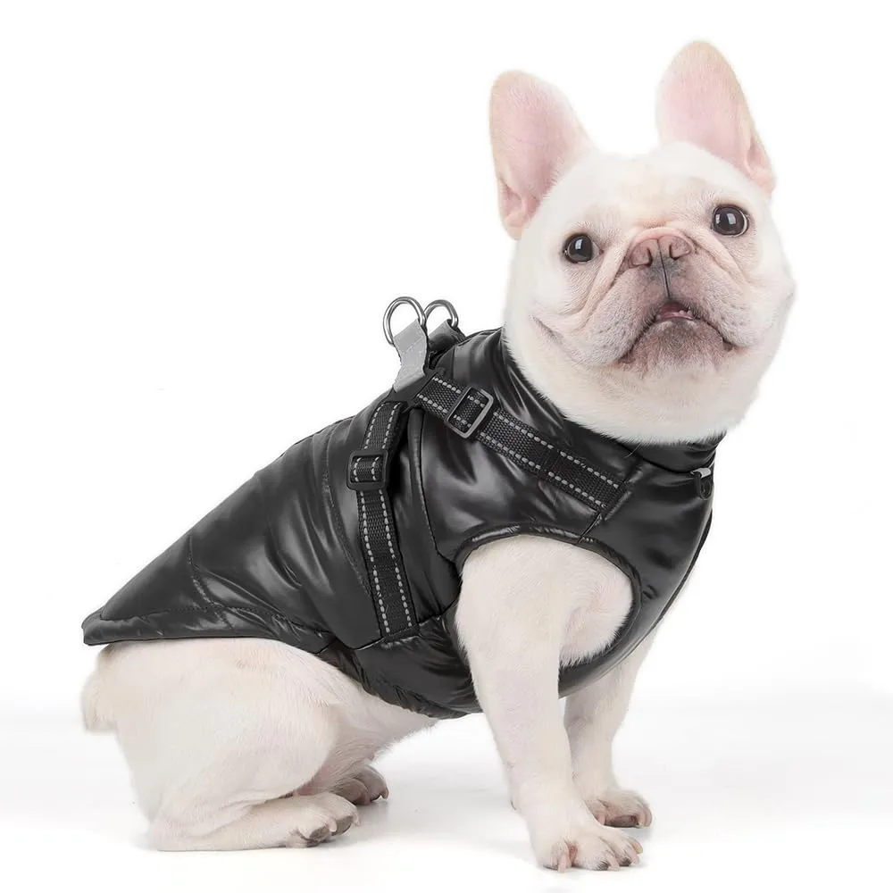 DoggieKit Cappotto Impermeabile e Riflettente per Cani e Gatti in Cotone e Poliestere, Inverno, Nero, XL - immagine 1