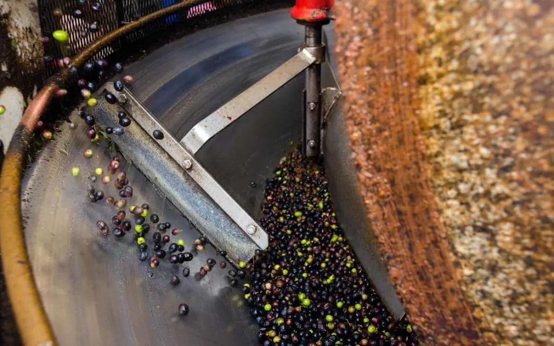 Pinto Ferramenta Contenitore in Acciaio Inox per Olio e Vino con Rubinetto, Imbuto e Guarnizione, 20 Litri - immagine 9
