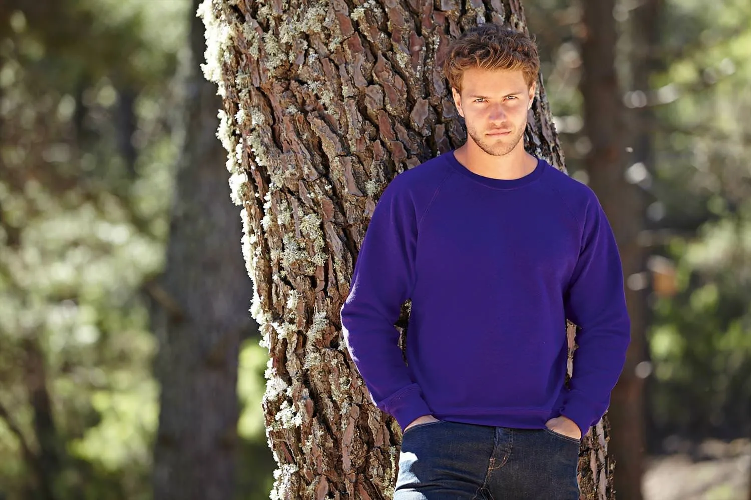 Fruit of the Loom Raglan Sweatshirt, Purple, XXL - immagine 3
