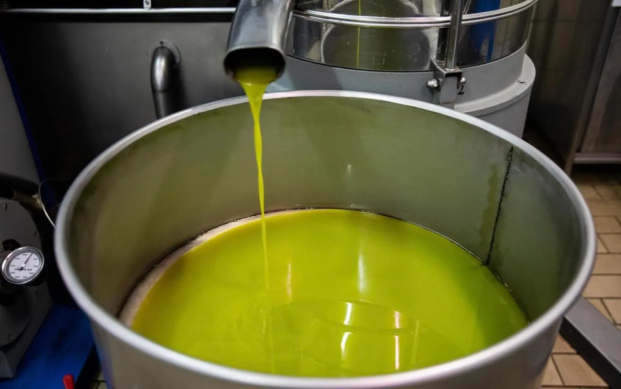 Pinto Ferramenta Bidone Fusto Contenitore in Acciaio Inox con Rubinetto, Imbuto e Guarnizione, 50 Litri - immagine 7