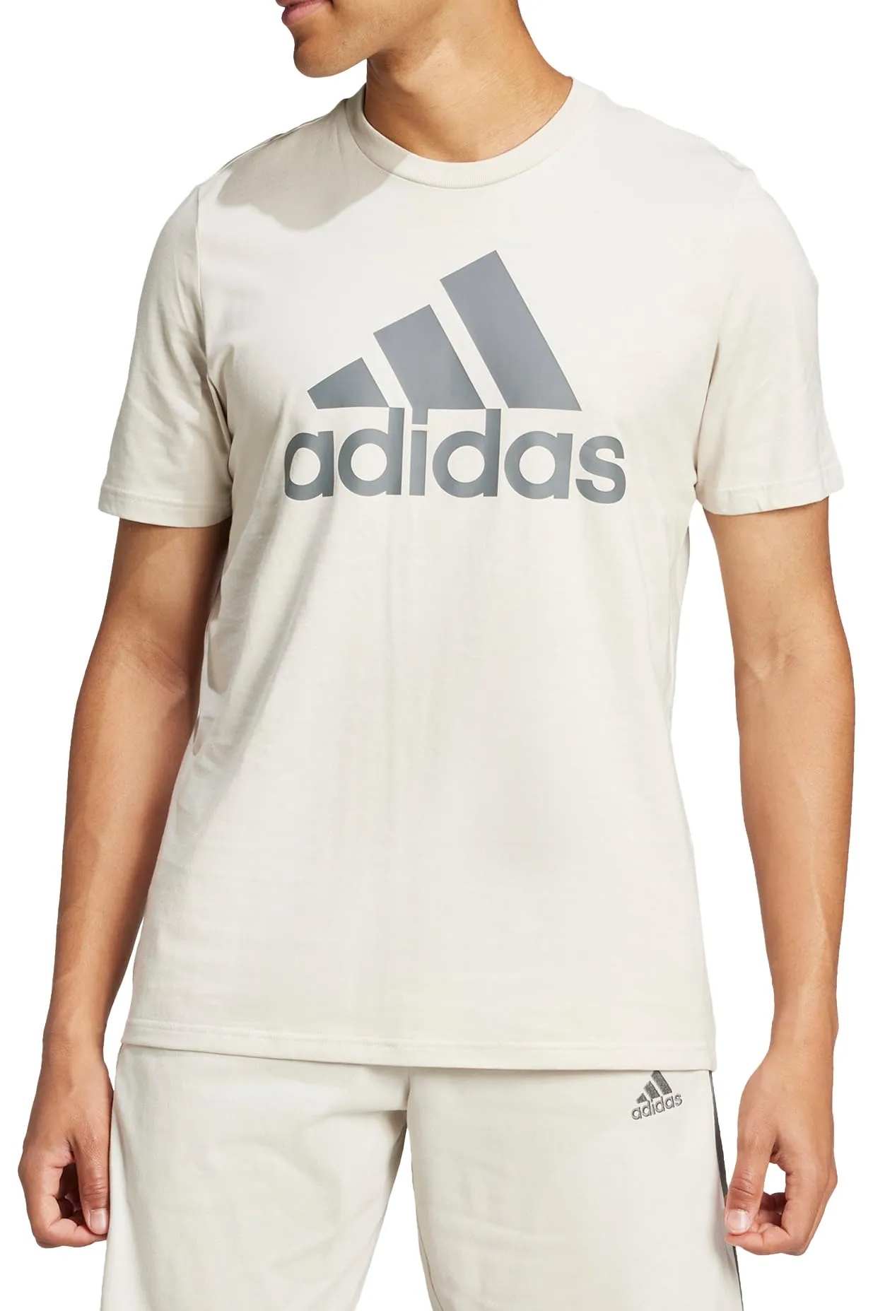 adidas Uomo Essentials Single Jersey Big Logo Tee, Alumina/Grey Four, L - immagine 2