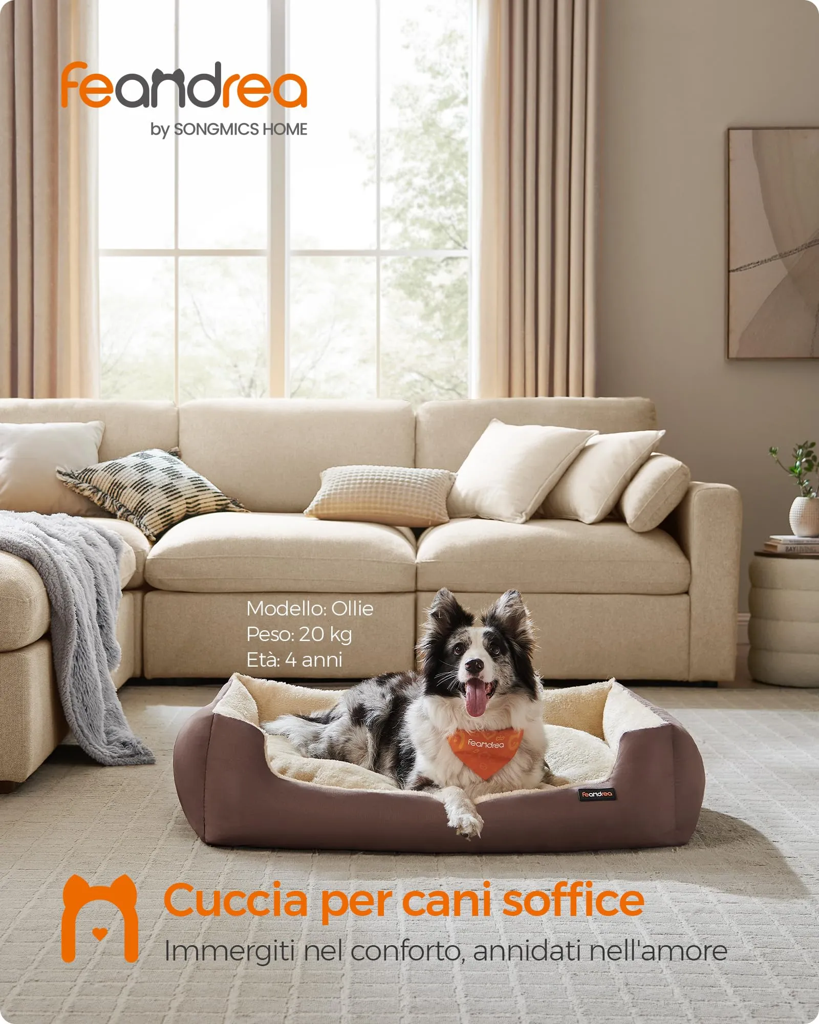 Feandrea Cuccia Cane Interno con Tappeto Rimovibile, XL, 100 x 75 x 25 cm - immagine 2